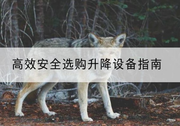 前进升降货梯厂家推荐-*安全选购升降设备指南