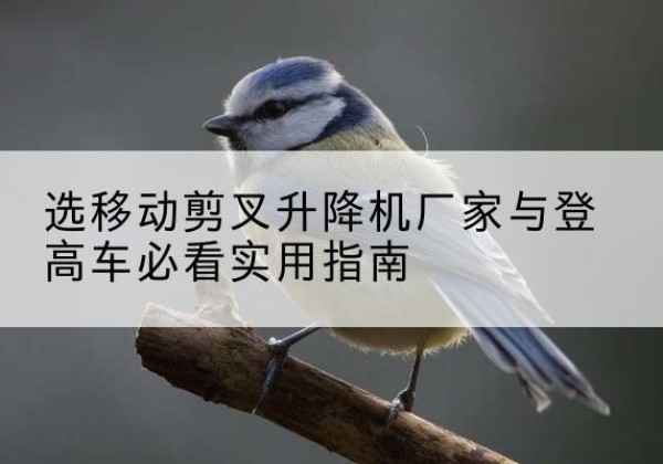 前进电动升降机厂家-选移动剪叉升降机厂家与登高车必看实用指南